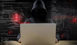 黑客网免费吃瓜独家爆料,黑客网免费吃瓜背后的惊人内幕